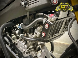 YAMAHA XSR155 2024