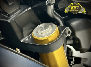 YAMAHA MT-15 DATE 2019